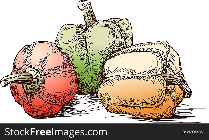 Vector image of a three sweet peppers.