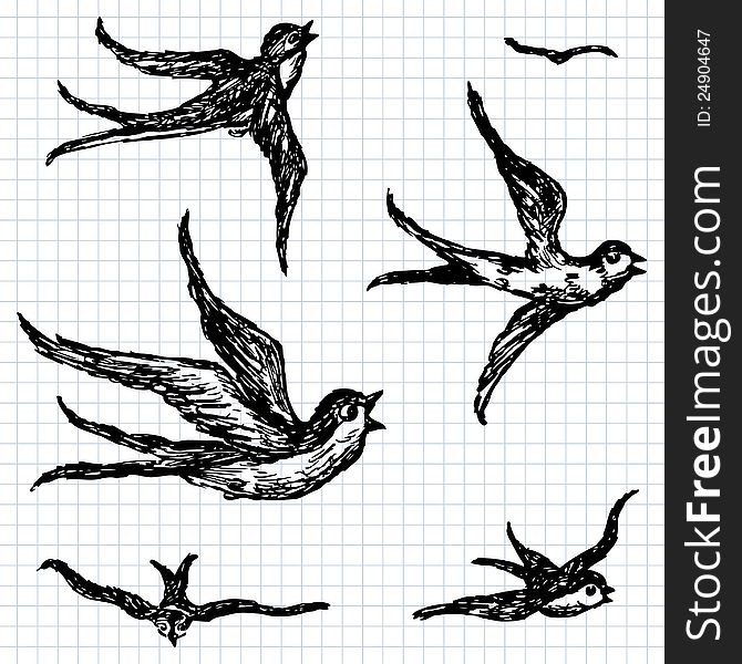 Vector image of a flying birds. Vector image of a flying birds.