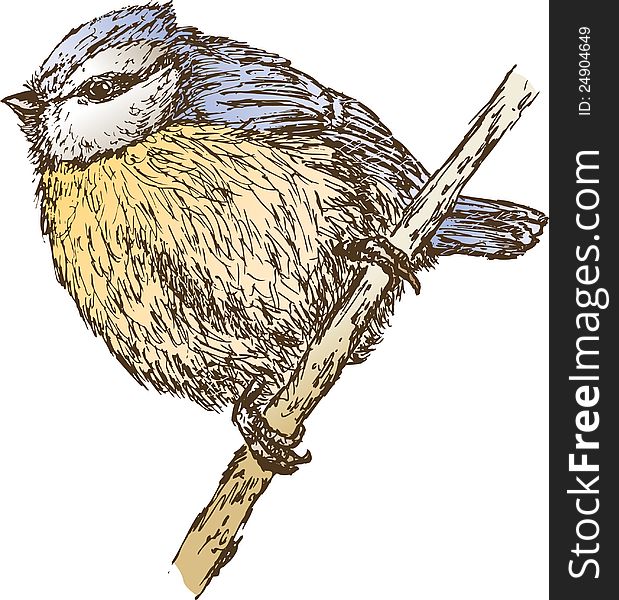 Vector image of a tit sitting on a branch. Vector image of a tit sitting on a branch.