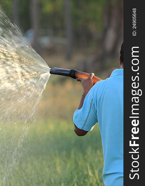 Watering the vegetable garden