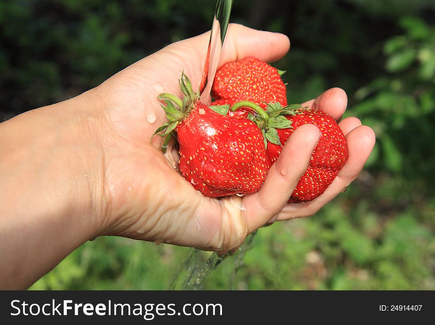 The stream of water to wash strawberries