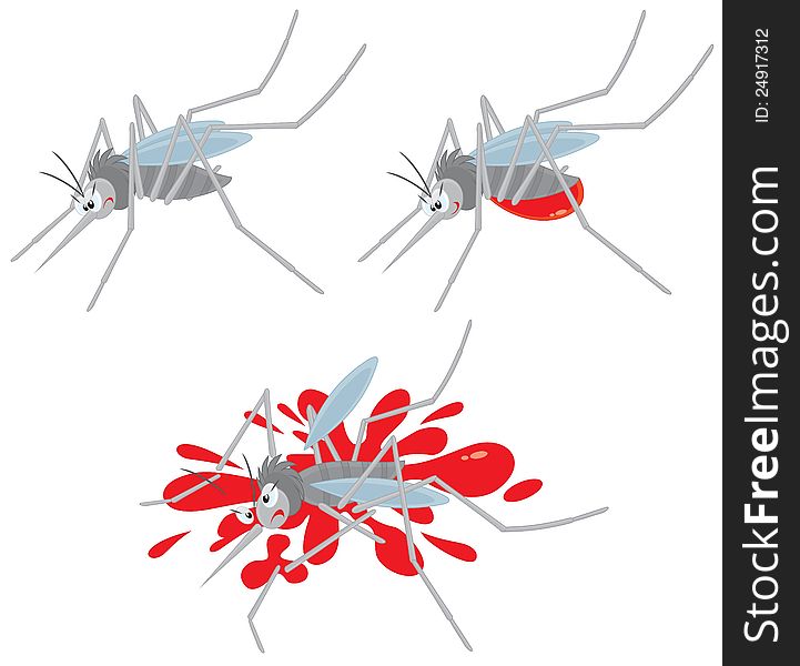 Vector clip-art of a grey mosquito sucking blood and crushed