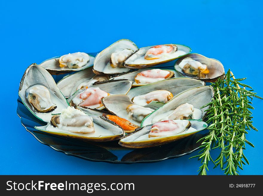 A dish with mussels with sauce bechamel with rosemary against the blue background. A dish with mussels with sauce bechamel with rosemary against the blue background