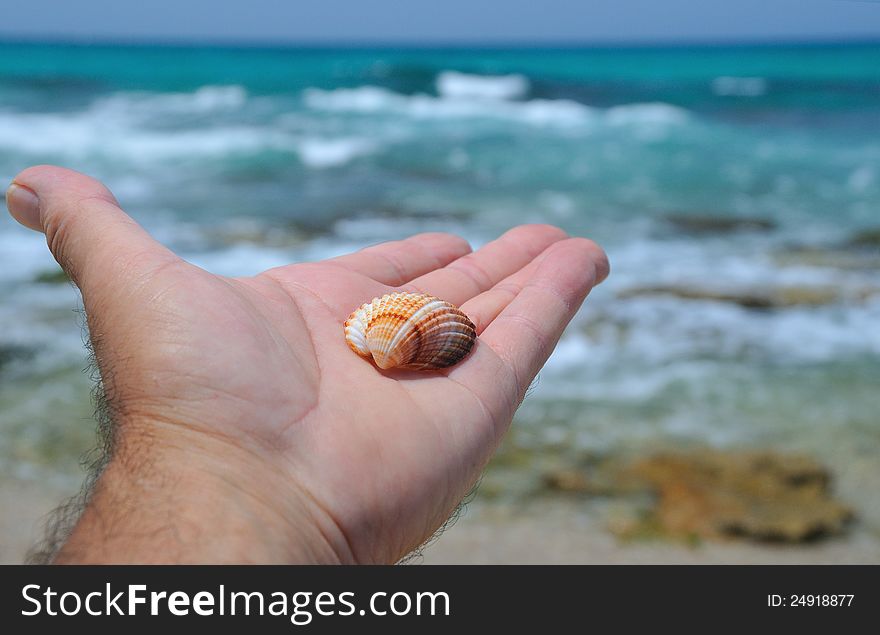 The hand with the seashell as a symbol of the sea  outstretched towards the sea. The hand with the seashell as a symbol of the sea  outstretched towards the sea