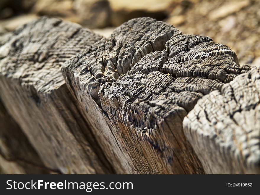 Wooden texture for photo-manipulation or for ecology or geology purposes