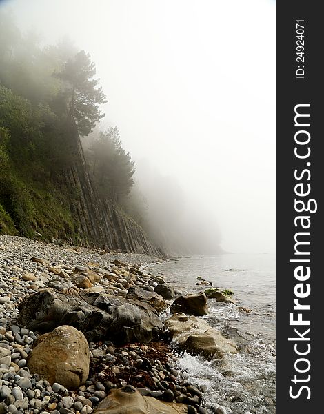 Beach in the fog, spruce forest on the rocks. Beach in the fog, spruce forest on the rocks