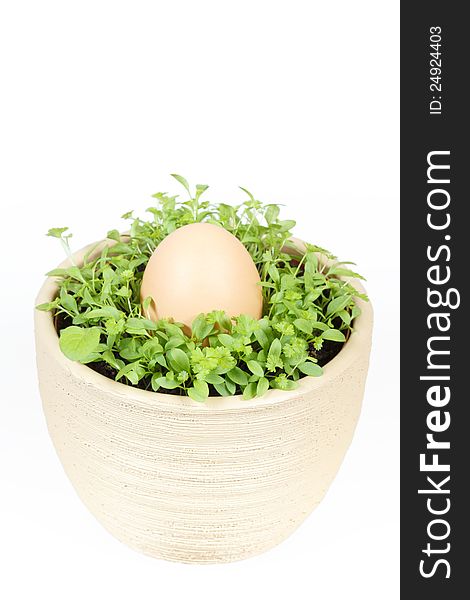 Spring vegetable with easter egg in ceramic pot on a white background