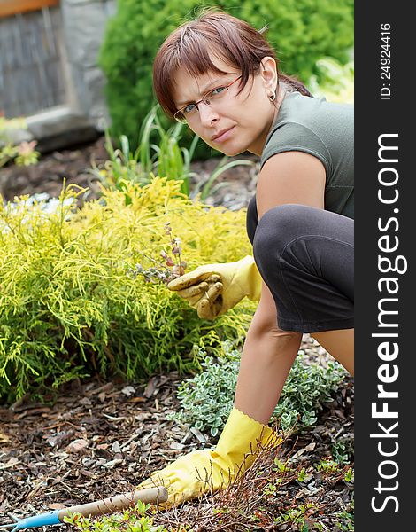 Middle age woman gardener with flowers outdoor in her garden. Middle age woman gardener with flowers outdoor in her garden