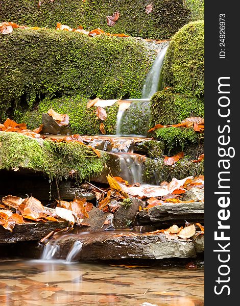 Natural still life with a small waterfall