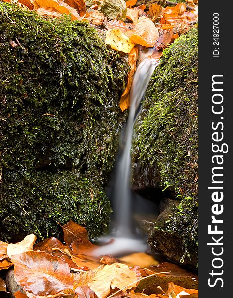 Natural still life with a small waterfall