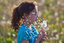 Young Girl Blows A Dandelion Stock Photos Young Girl Blows A Dandelion Stock Photos