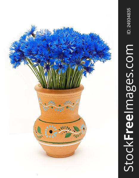 Beautiful blue cornflower in the pitcher