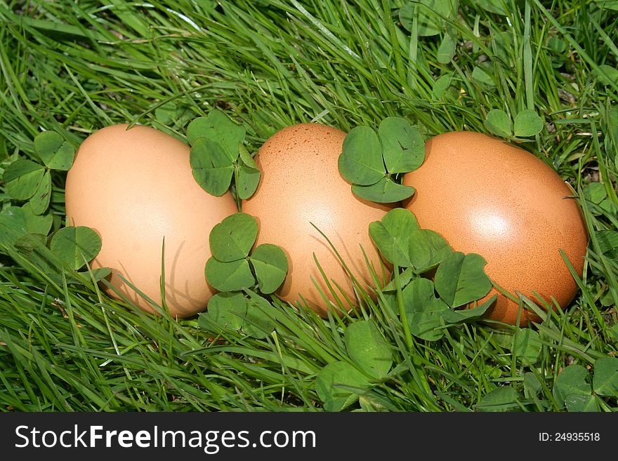 Easter eggs on a green grass.  Easter
