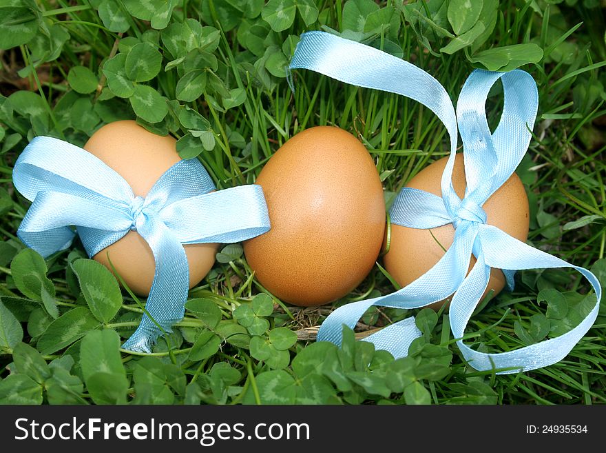 Easter eggs on a green grass. Easter