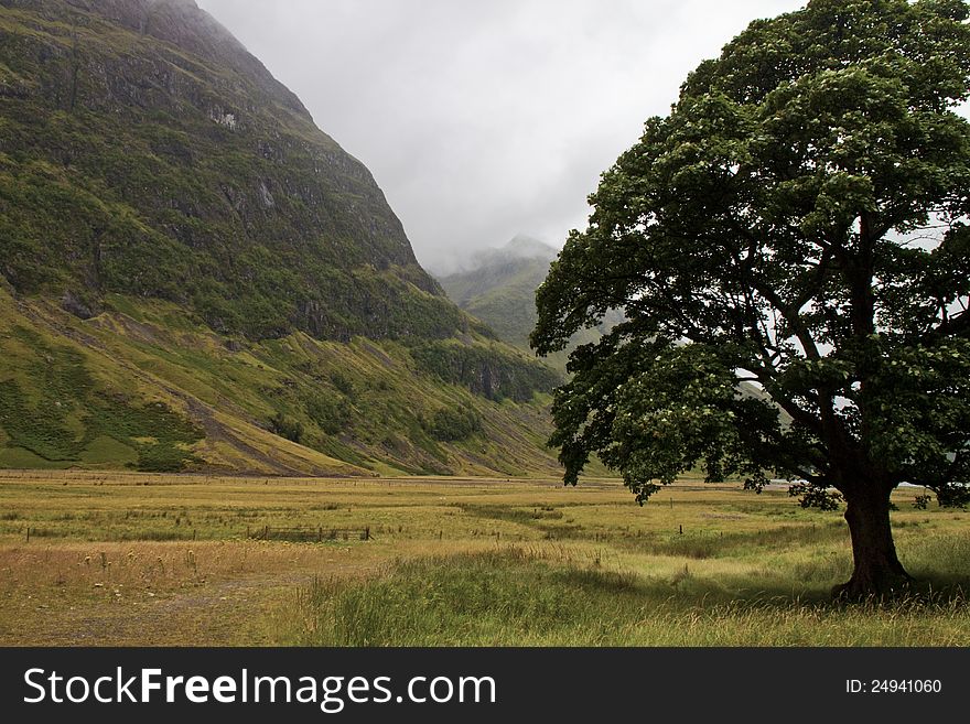 Green meadows on highland of scotland. Green meadows on highland of scotland