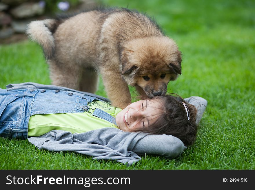 Cute Elo (German dog breed) puppy licks a beautiful young girl at the head and the girl is laughing. Cute Elo (German dog breed) puppy licks a beautiful young girl at the head and the girl is laughing