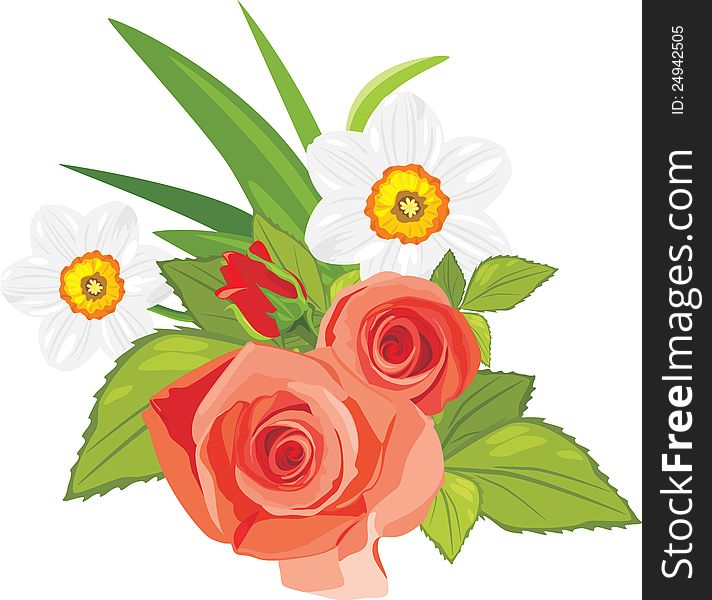 Roses and daffodils. Festive bouquet. Illustration