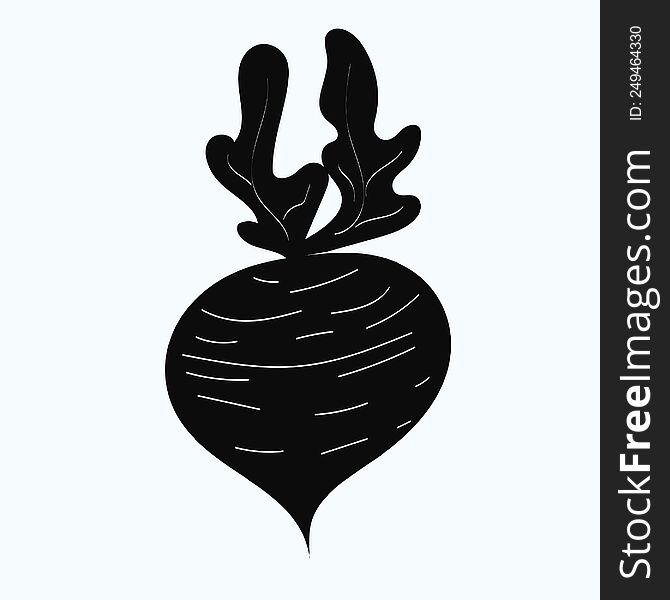 Black Radish Illustration For Your Designs