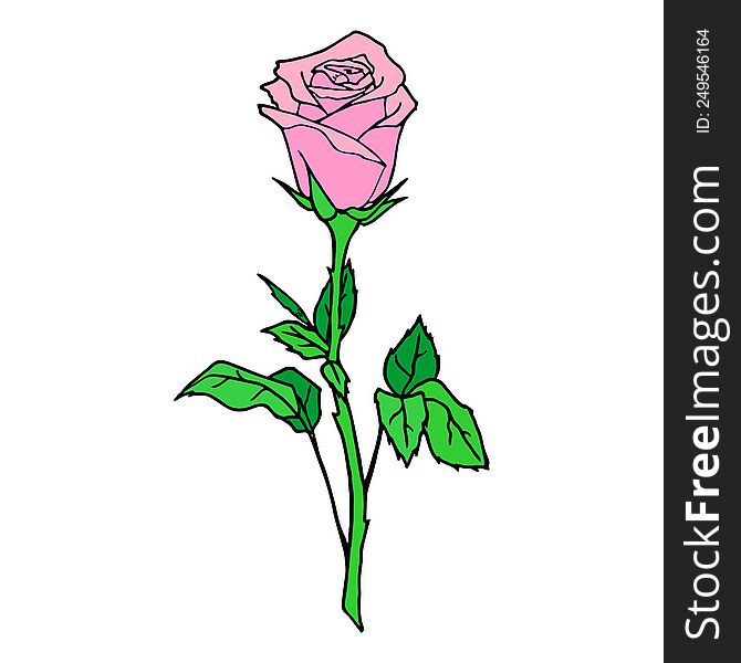 color graphic drawing of one pink rose on a white background, design, art, valentine