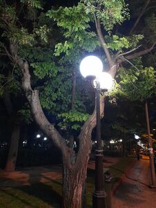 Streetlamp In Streets On Athens. In The Evening. A Beautiful Tree Flooded With Light In A Park. Stock Images