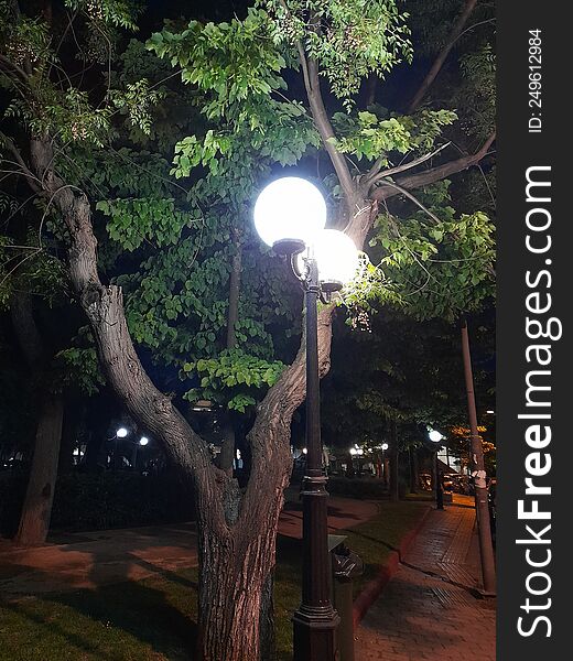 Streetlamp in streets on Athens. In the evening. A beautiful tree flooded with light in a park.