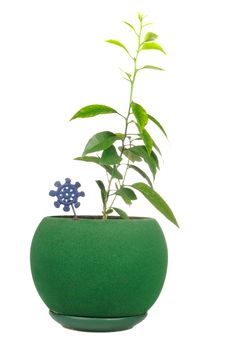 Young Plants In Green Flower Pot Stock Photos Young Plants In Green Flower Pot Stock Photos
