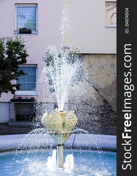 Water fountain in the garden of an old house