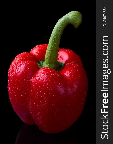 Red pepper isolated on black background .