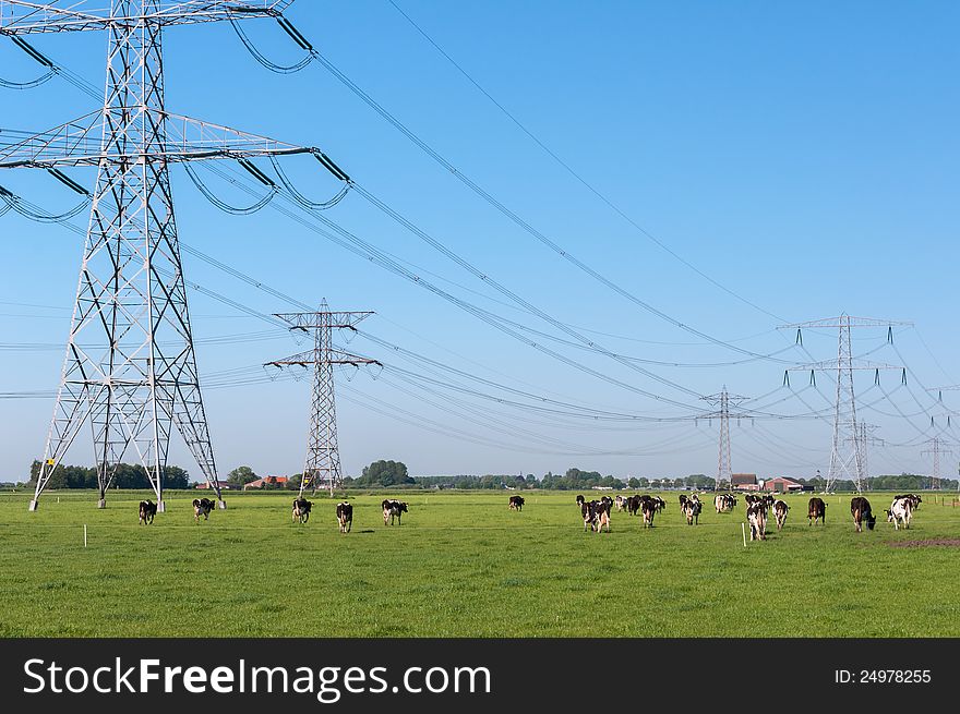 Dutch landscape with grazing cows below the high-voltage cables and between the high-voltage masts. Dutch landscape with grazing cows below the high-voltage cables and between the high-voltage masts.