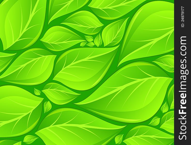 Nature background with fresh green leaves, vector illustration. Nature background with fresh green leaves, vector illustration