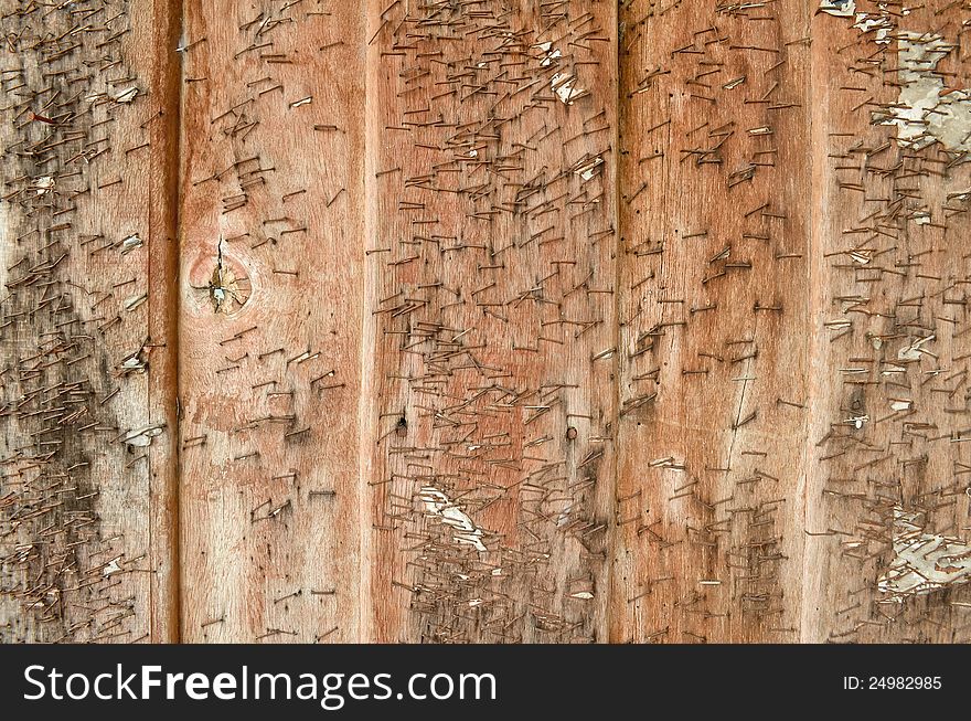 Old wood texture with steplers