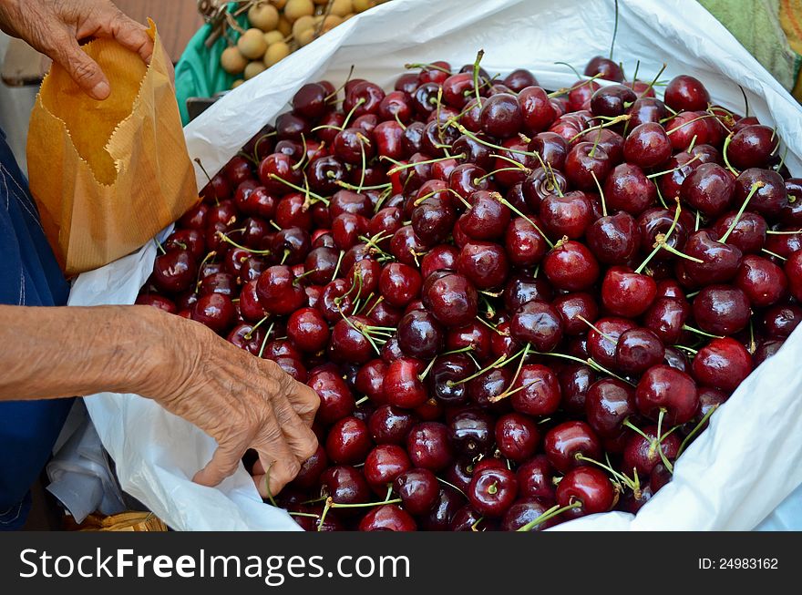 Old woman picking cherry and out in the bag. Old woman picking cherry and out in the bag