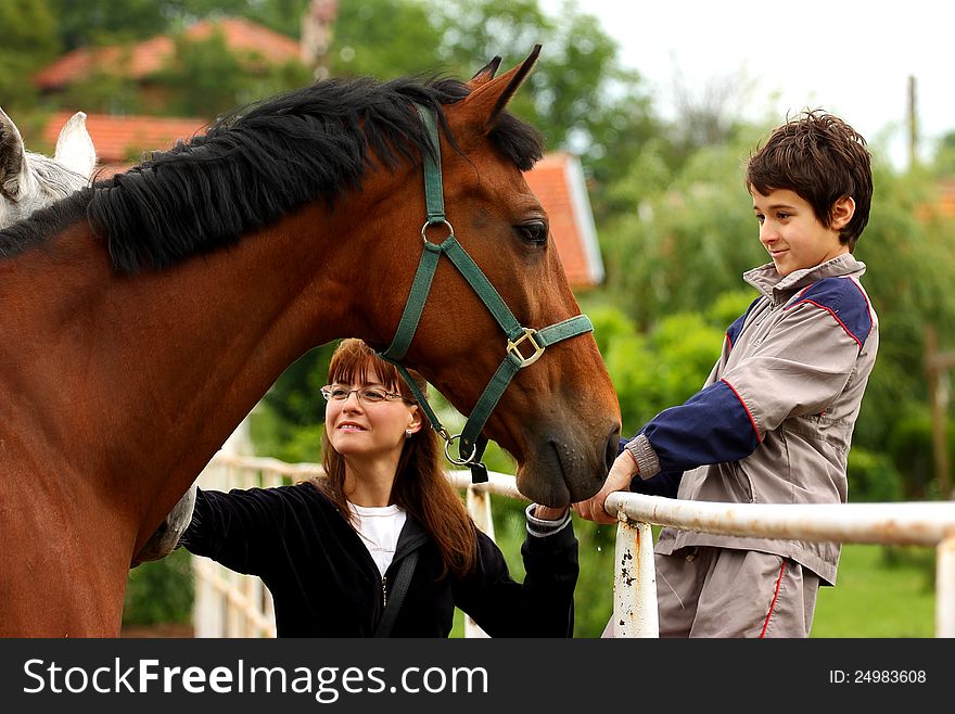 A woman, a boy and a big brown horse in a horse-farm. A woman, a boy and a big brown horse in a horse-farm