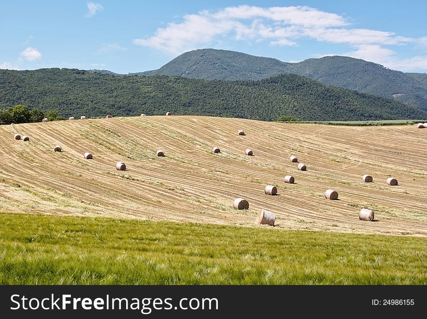 Jobs in the country, harvesting hay in the spring. Jobs in the country, harvesting hay in the spring