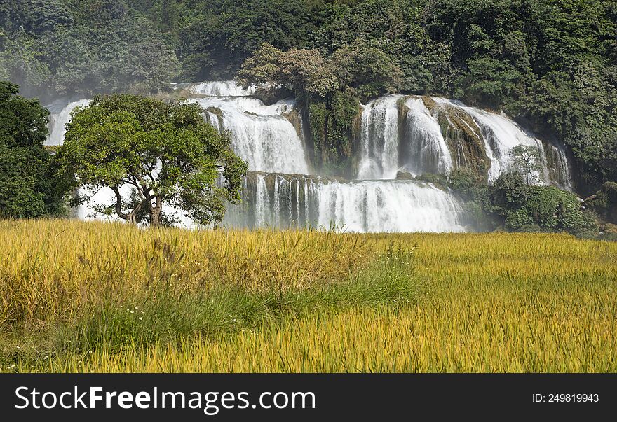 Ban Gioc Waterfall In Cao Bang, Vietnam