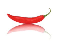 Red Hot Chili Pepper. Royalty Free Stock Photography