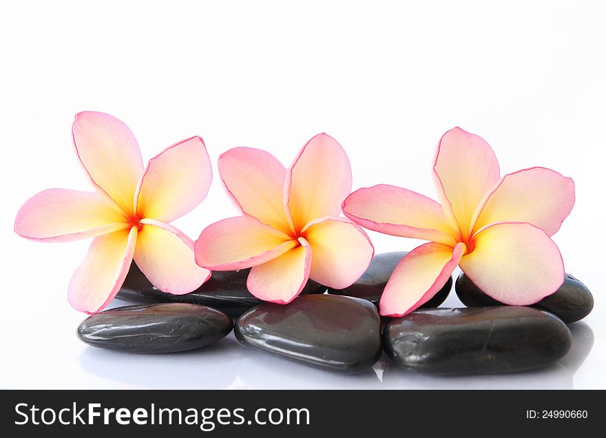 Zen stones with frangipani on white background. Zen stones with frangipani on white background.