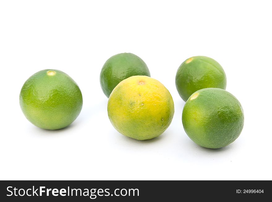 Fresh Lime