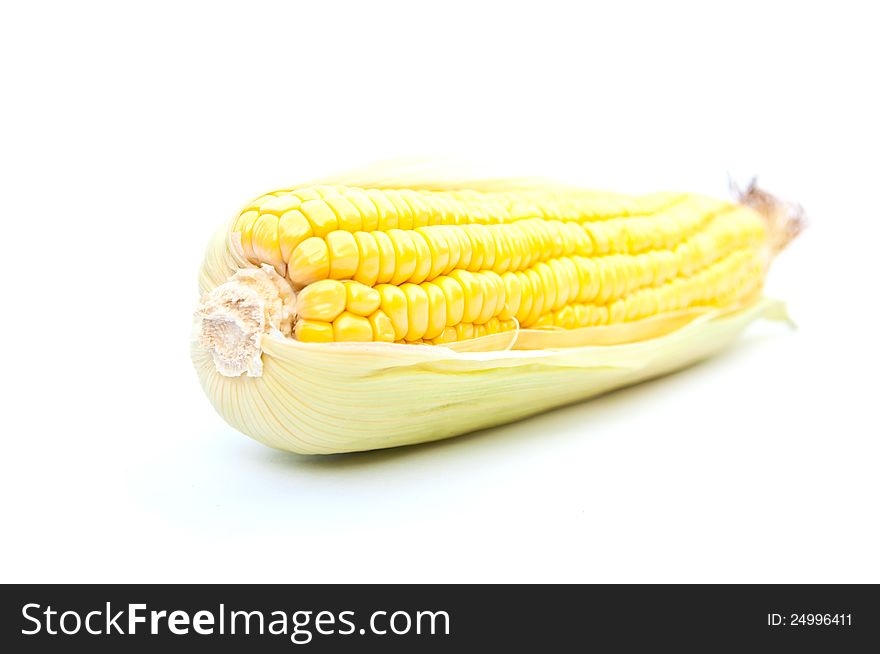 Corn isolated on a white background