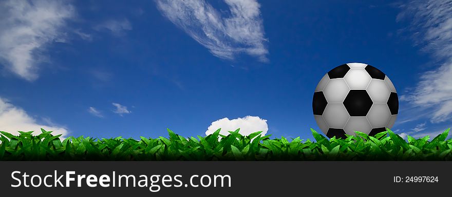 Soccer football on grass field