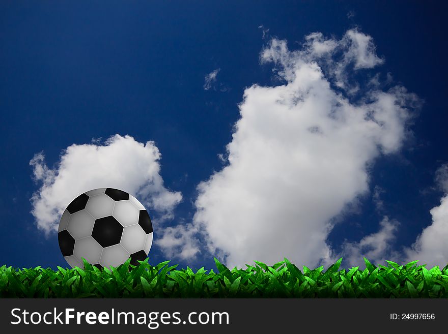 Soccer football on grass field