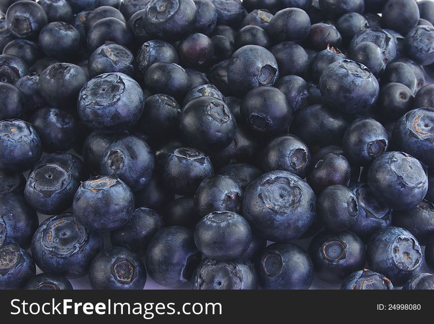 Lots of sweet and tasty blueberries. Lots of sweet and tasty blueberries
