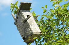 Bird House Royalty Free Stock Photo