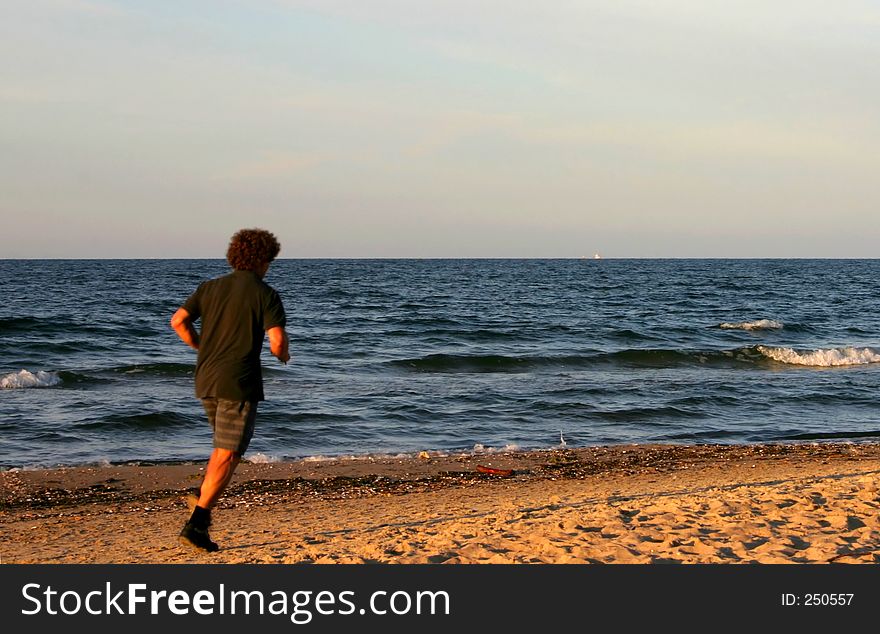 Shaggy beach runner.