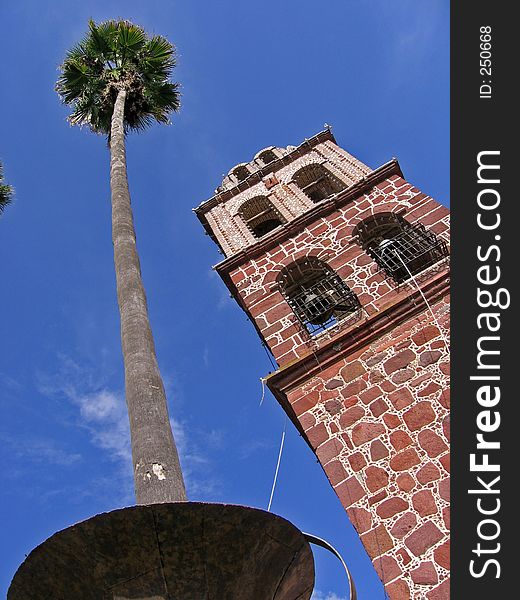 Giant Palm before Anchient Church. Giant Palm before Anchient Church