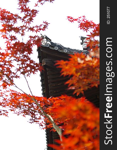 The corner of a temple roof viewed through red Autumnal leaves. The corner of a temple roof viewed through red Autumnal leaves.