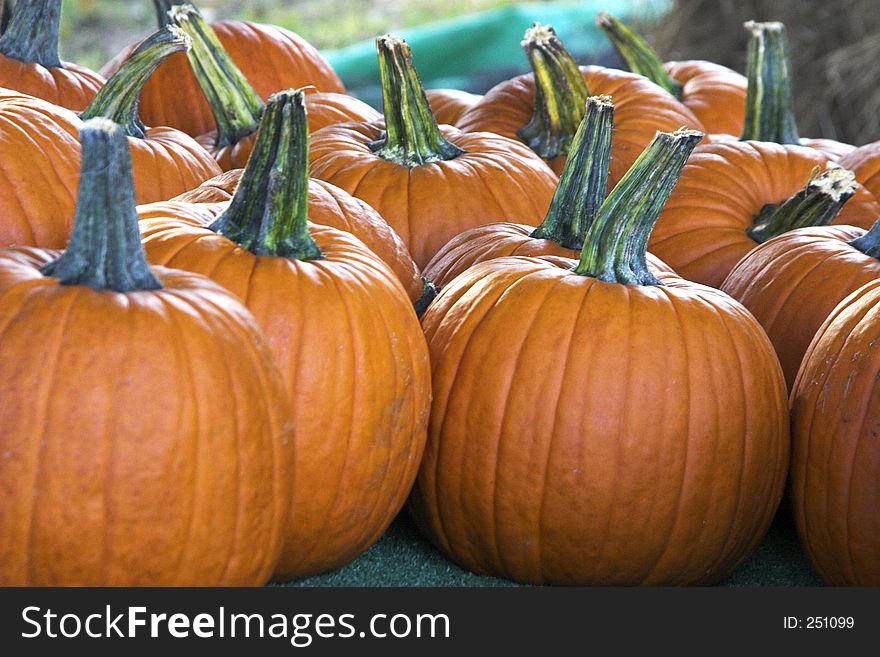 Small pumpkins on table at market.