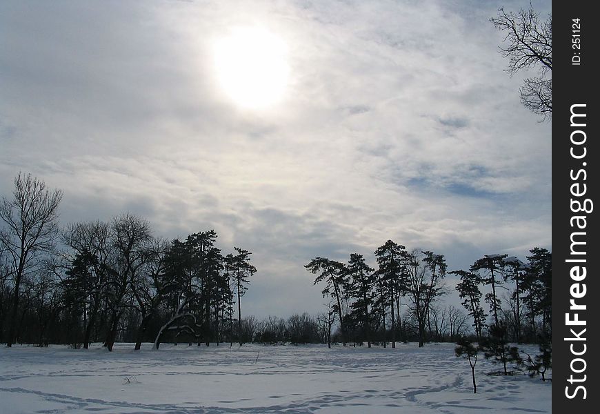 A landscape with a cold sun. A landscape with a cold sun