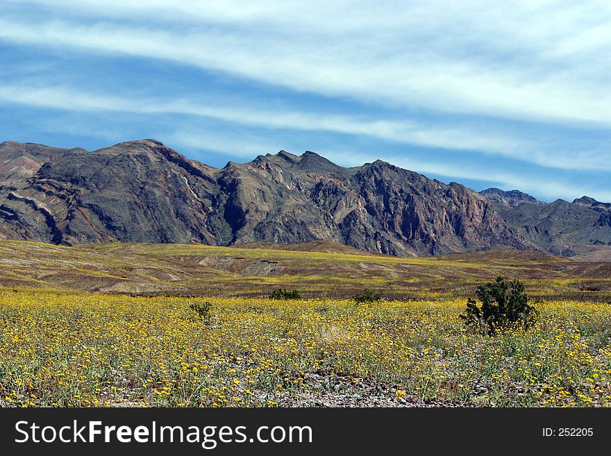 Death Valley in Spring. Death Valley in Spring