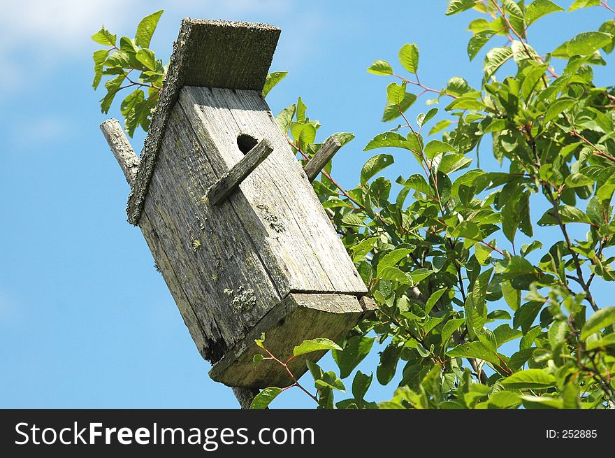 Bird house